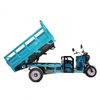 Electric Cargo Tricycle 3 Wheel Electric Dumper Tricycle for Adults 60V/1000W Cargo Tricycles with Front Disc + Rear Drum Brake