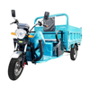 Electric Cargo Tricycle 3 Wheel Electric Dumper Tricycle for Adults 60V/1000W Cargo Tricycles with Front Disc + Rear Drum Brake