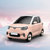 China Manufacturer Direct Selling 2 Seats Logistic Vehicle New Car Pure Electric