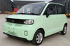 Electric Cars Mini Car Chinese 4 Four Wheel Adult Cheap Vehicles Made in China Vehicle Mini EV Car