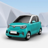 China Manufacturer Direct Selling 2 Seats Logistic Vehicle New Car Pure Electric