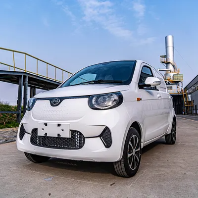 China Manufacturer Direct Selling 2 Seats Logistic Vehicle New Car Pure Electric