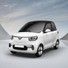 China Manufacturer Direct Selling 2 Seats Logistic Vehicle New Car Pure Electric